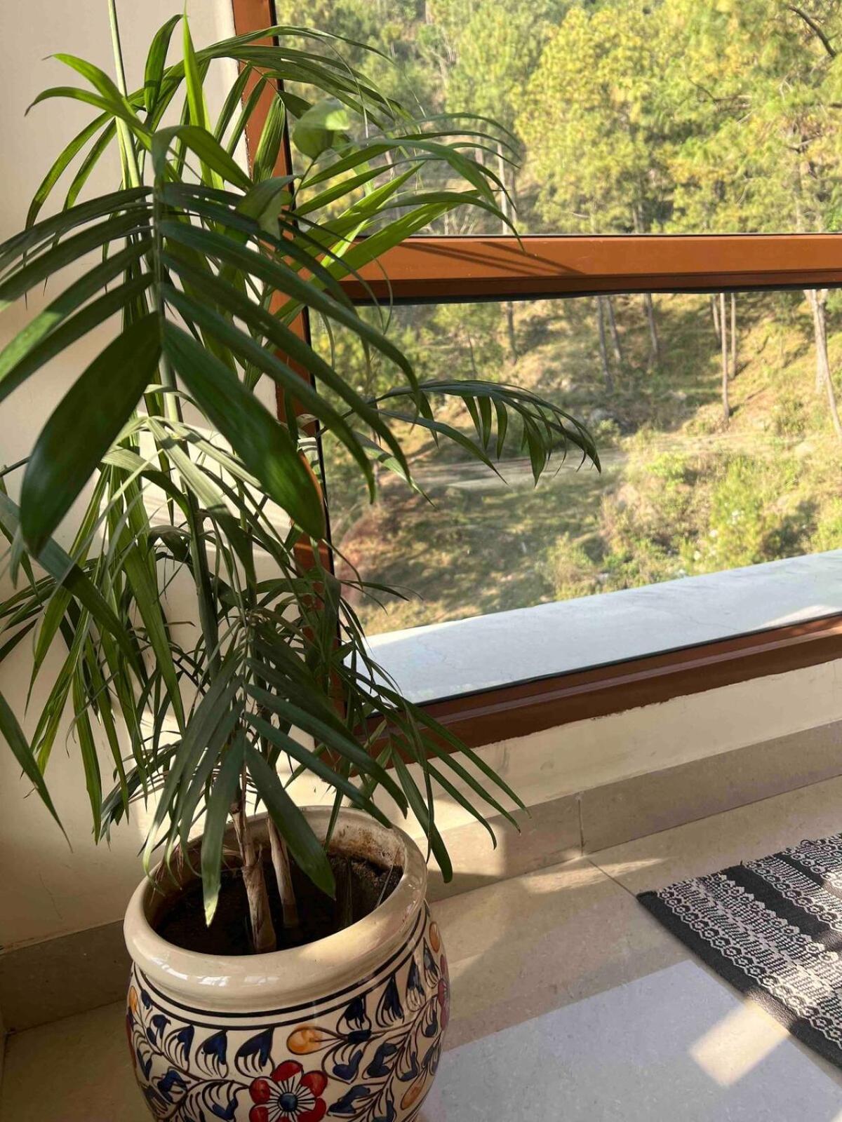 2Bhk Furnished Apartment/Near Kasauli/Barog/Luv Fun & Adventure Solan Bagian luar foto