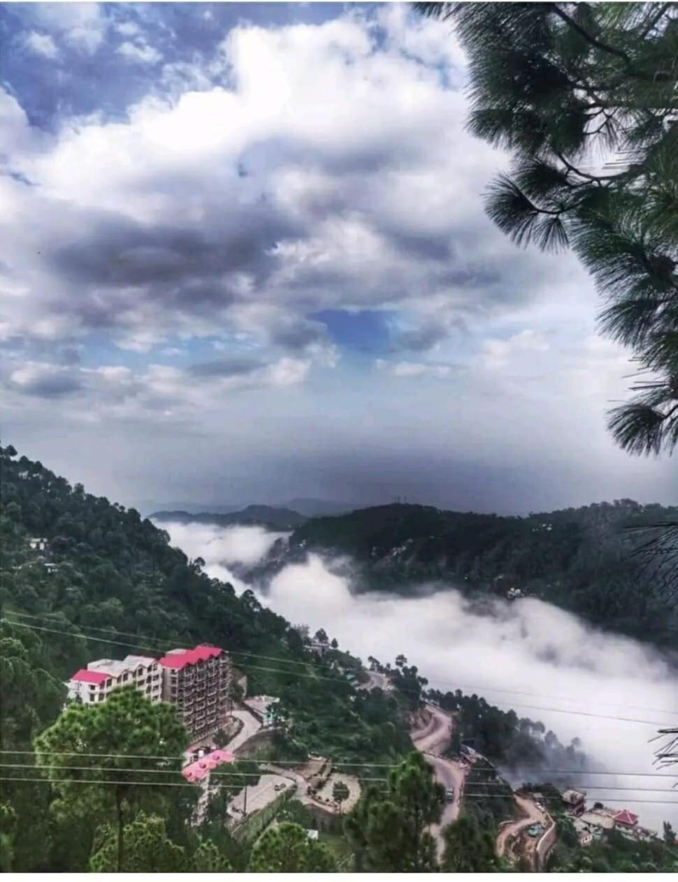2Bhk Furnished Apartment/Near Kasauli/Barog/Luv Fun & Adventure Solan Bagian luar foto